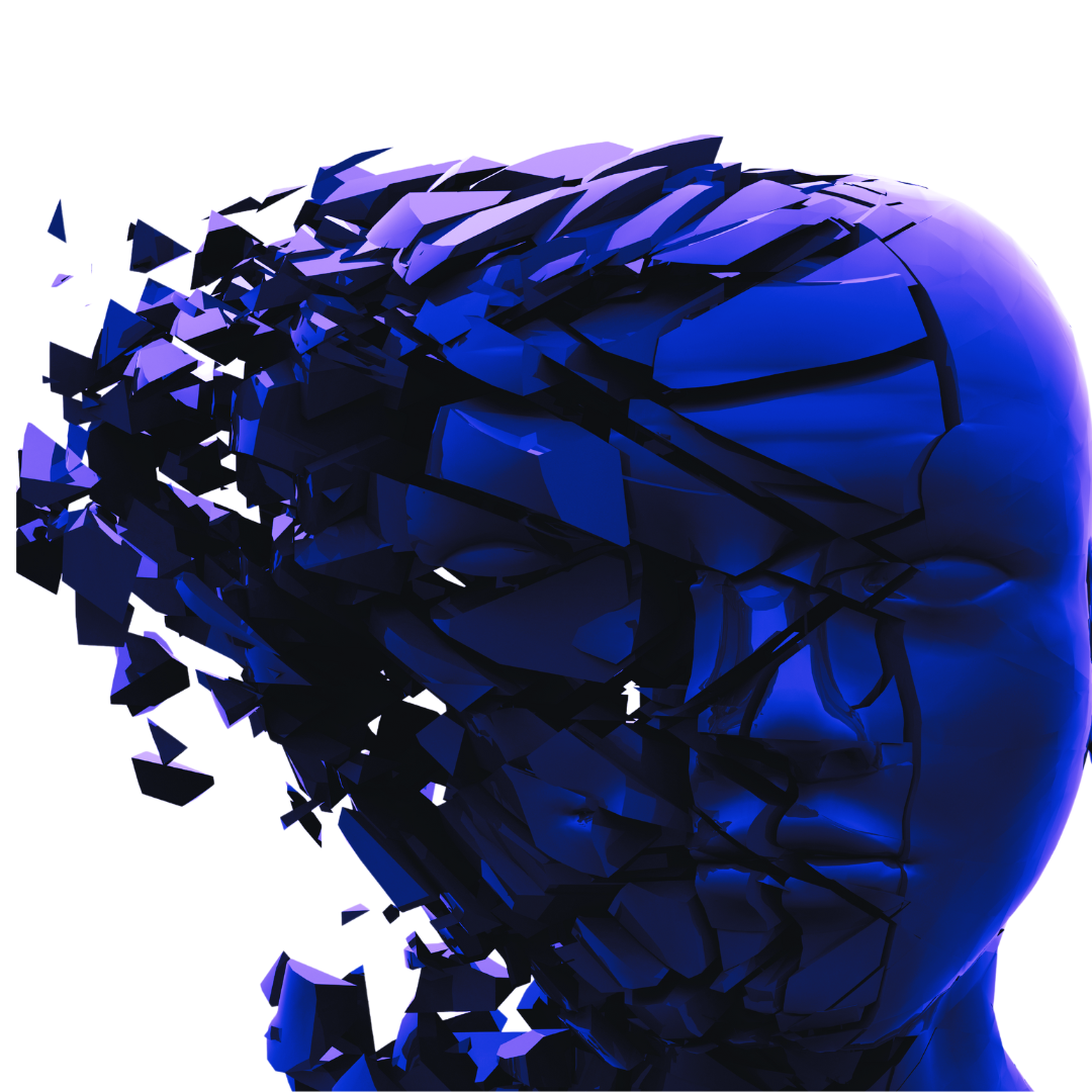 Observe Daily homepage (www.observedaily.com)